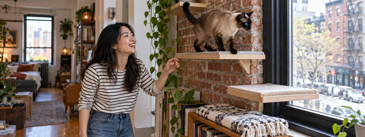 A Siamese-point cat explores a wall perch while a woman watches in a city apartment.